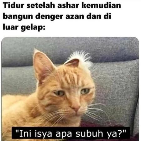 Mentahan Meme Bayangin Aja Dulu - 10 Meme 'Bayangin Aja Dulu' Ini Bikin