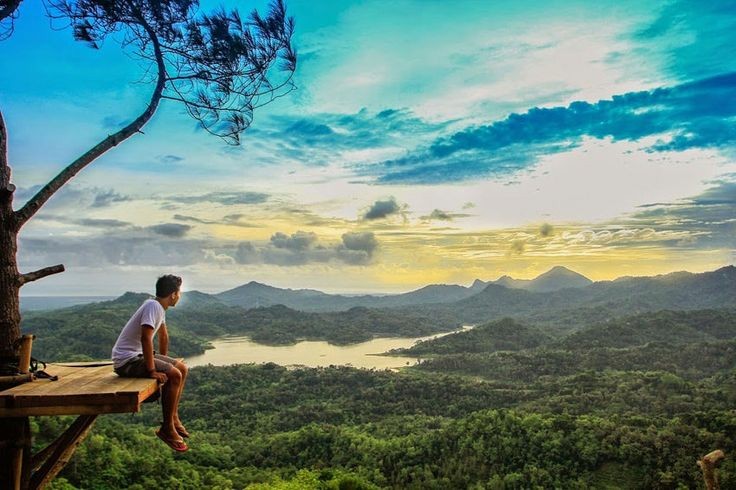 Photo by TripCanvas Indonesia, Lautan Bunga dan Sungai Amazon di Jogja