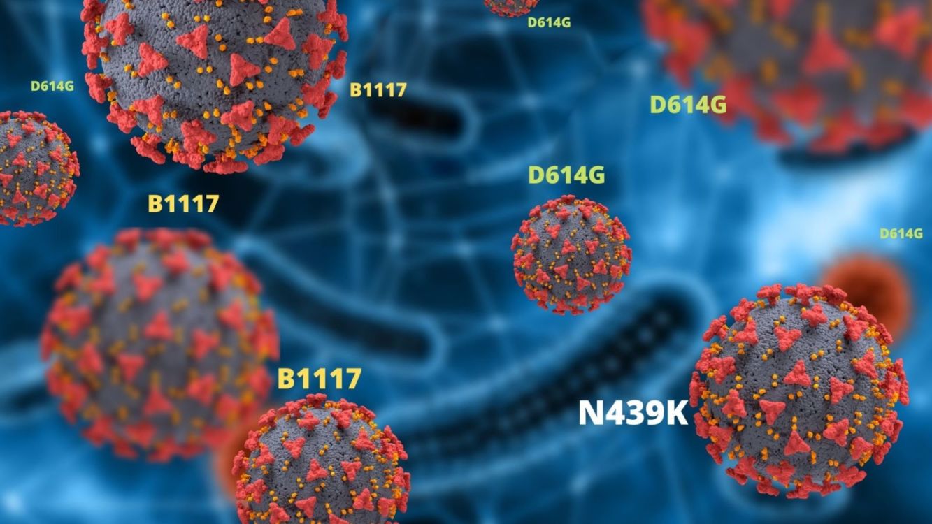 Mengenal 3 Mutasi Virus Corona yang Sudah Masuk Indonesia