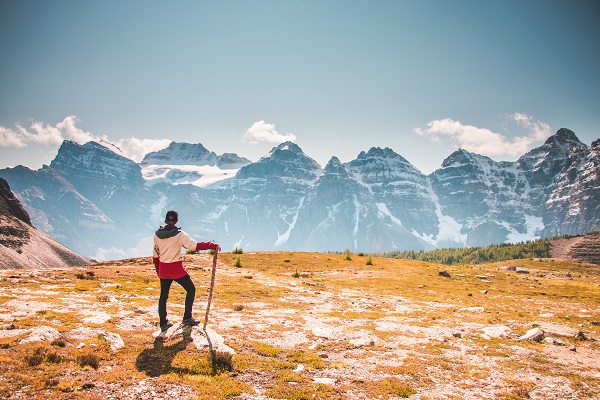 Photo by Jaime Reimer from Pexels