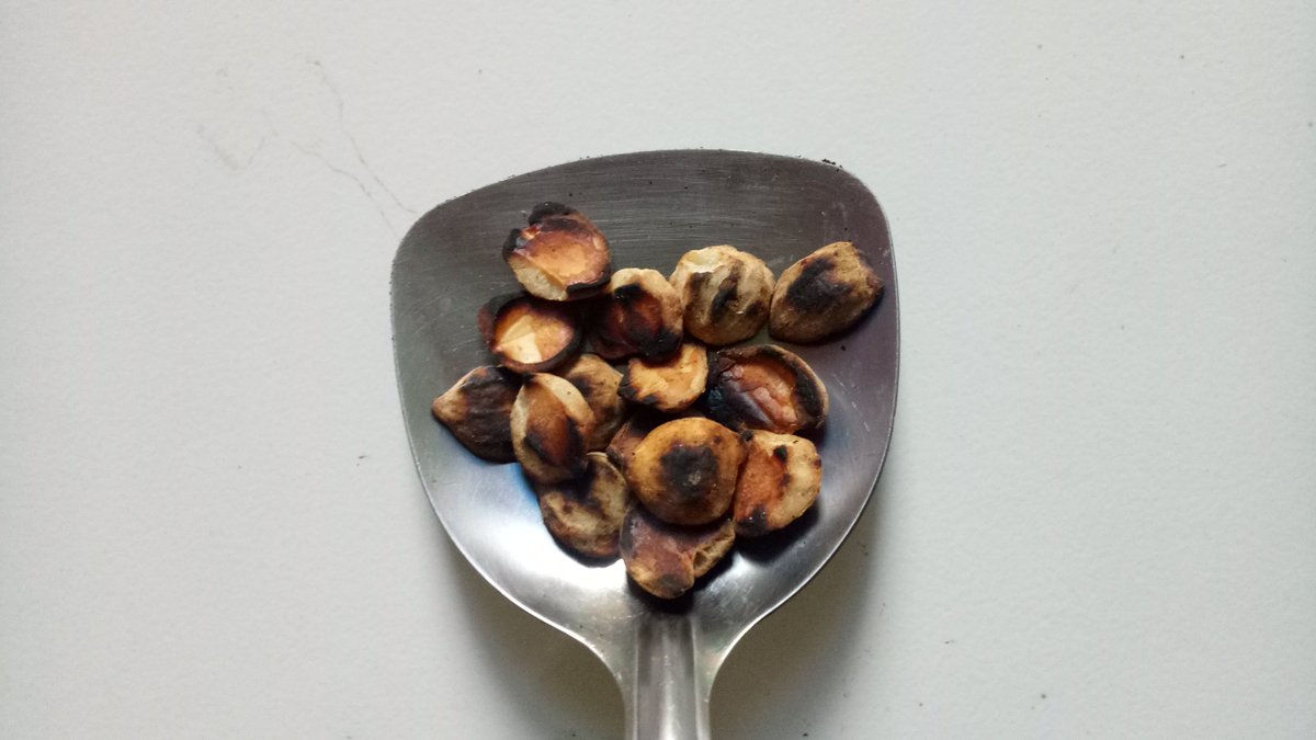 4 Cara Membuat Minyak Kemiri Tanpa Bahan Kimia. Makin Lebat Rambutnya!