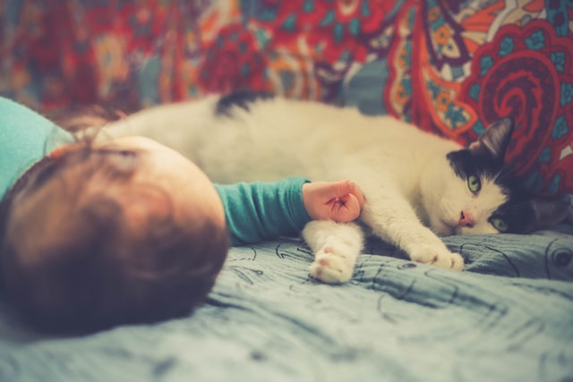 Bayi dengan kucing/Photo by Manja Vitolic