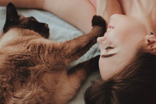 Bermain bersama kucing/Photo by Oleg Ivanov